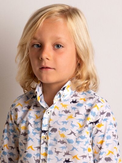 CAMISA DINOSAURIOS